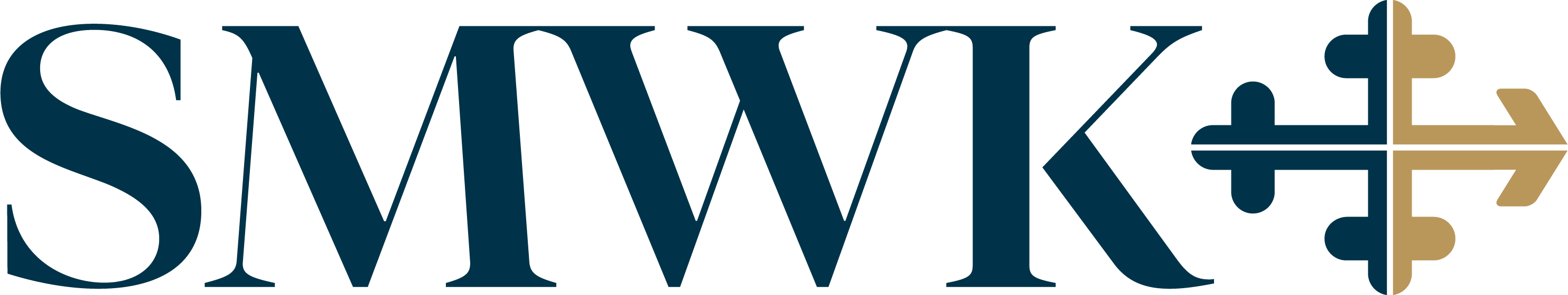 SCHWARTZ, METZ & WISE, P.A. Logo
